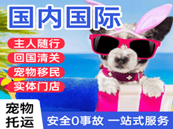 静巴音布鲁克机场托运国际宠物托运 【国